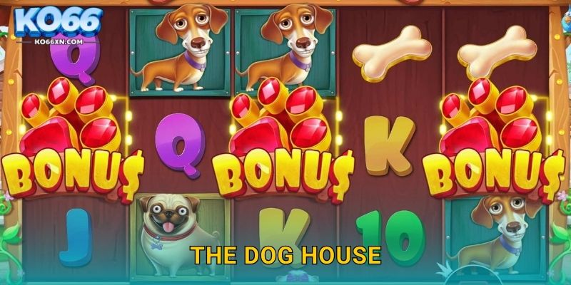 The Dog House KO66 và Hành Trình Quay Thưởng Đầy Thú Vị 22 The Dog House KO66 và Hành Trình Quay Thưởng Đầy Thú Vị