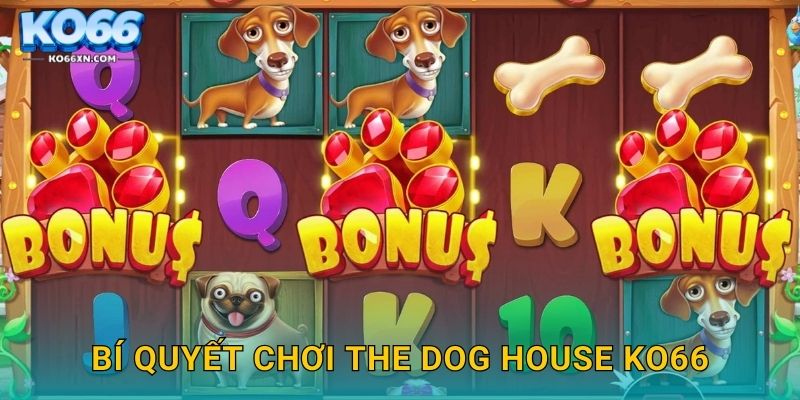 Bí quyết chơi The Dog House KO66