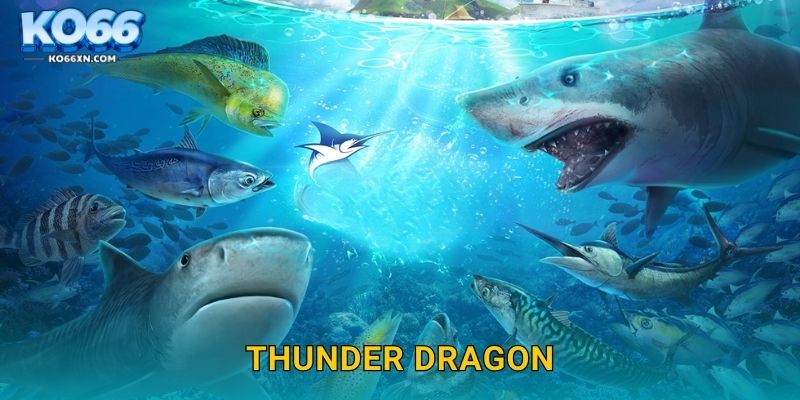 Thunder Dragon KO66 và Hành Trình Săn Rồng Biển 7 Thunder Dragon KO66 và Hành Trình Săn Rồng Biển