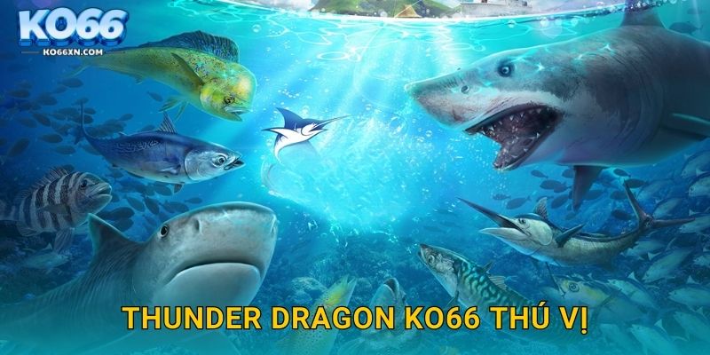 Thunder Dragon KO66 và Hành Trình Săn Rồng Biển 2 Thunder Dragon KO66 thú vị