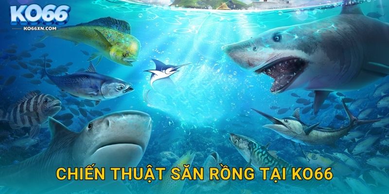 Thunder Dragon KO66 và Hành Trình Săn Rồng Biển 3 Chiến thuật săn rồng tại KO66